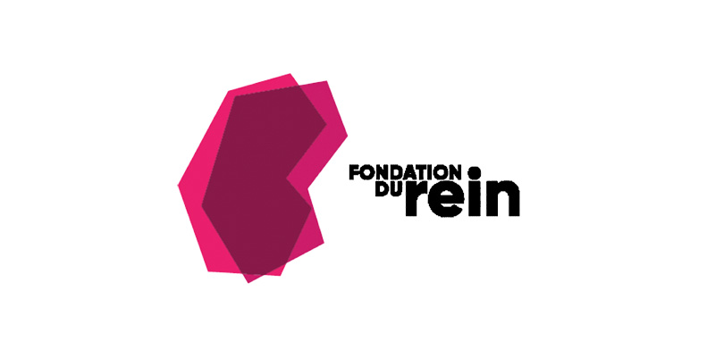 fondation du rein logo